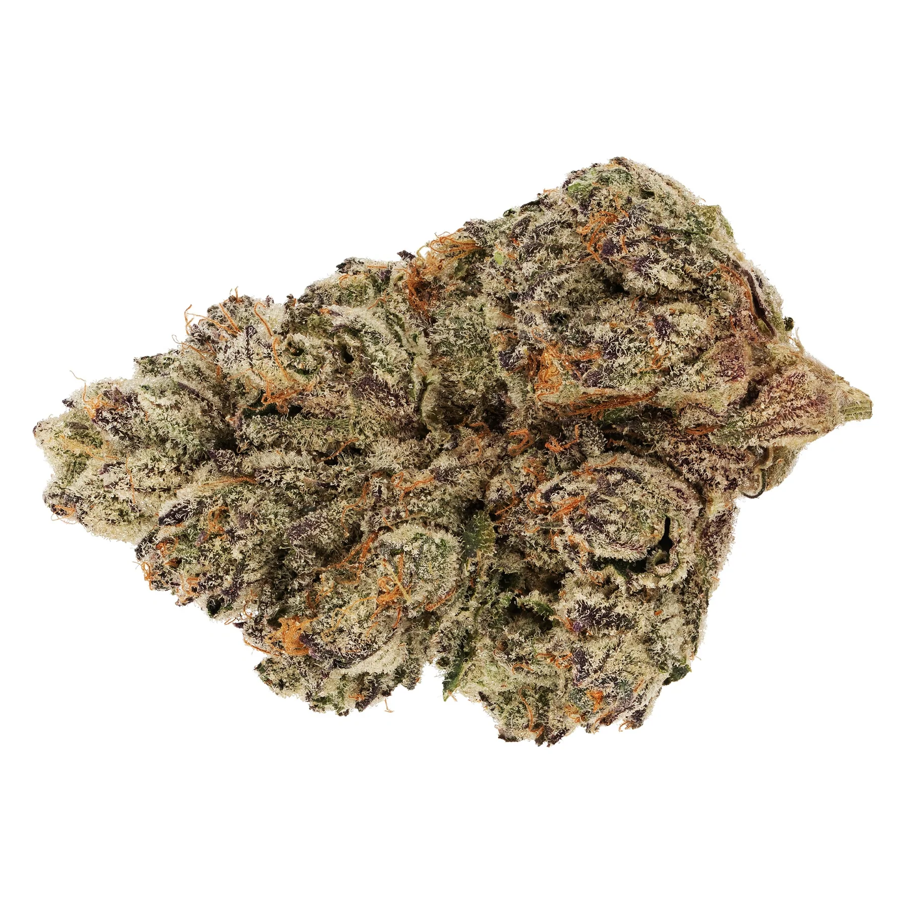 SUNSET SHERBET sunset sherbet