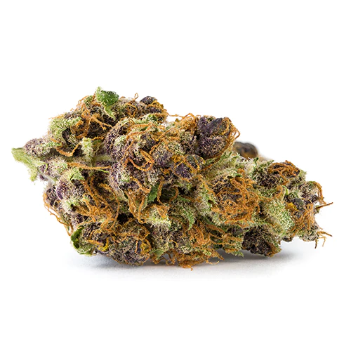 TANGERINE DREAM TANGERINE DREAM