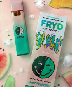 FRYD DISPOSABLE JUICY MELON DEW